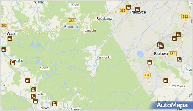 mapa Kamionki gmina Pieszyce, Kamionki gmina Pieszyce na mapie Targeo