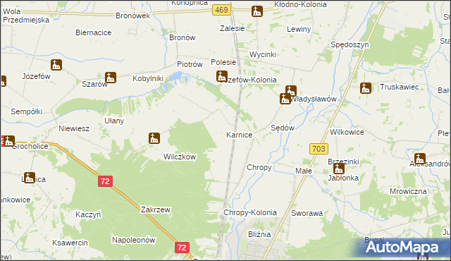 mapa Karnice gmina Poddębice, Karnice gmina Poddębice na mapie Targeo