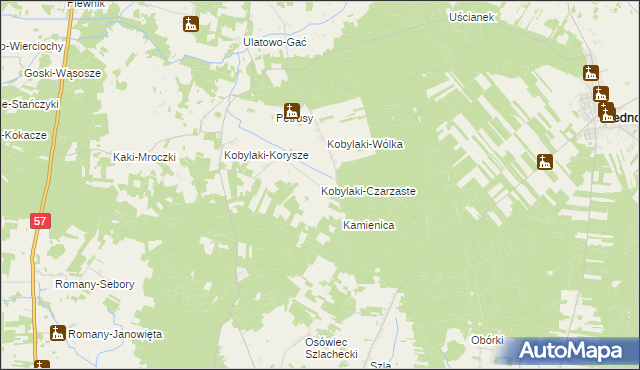 mapa Kobylaki-Czarzaste, Kobylaki-Czarzaste na mapie Targeo