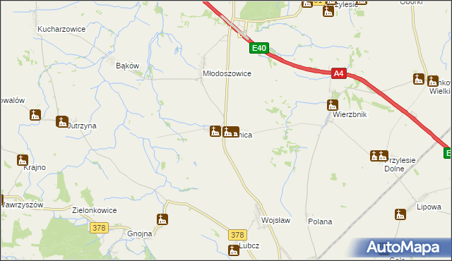 mapa Kolnica gmina Grodków, Kolnica gmina Grodków na mapie Targeo