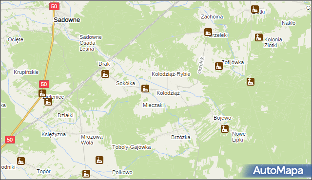 mapa Kołodziąż gmina Sadowne, Kołodziąż gmina Sadowne na mapie Targeo