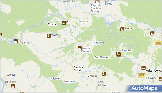 mapa Kolonia Polska, Kolonia Polska na mapie Targeo