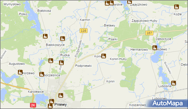 mapa Koninek gmina Pniewy, Koninek gmina Pniewy na mapie Targeo