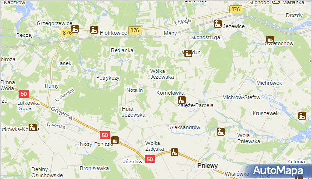 mapa Kornelówka gmina Pniewy, Kornelówka gmina Pniewy na mapie Targeo