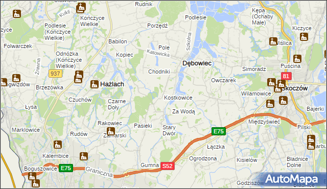 mapa Kostkowice gmina Dębowiec, Kostkowice gmina Dębowiec na mapie Targeo