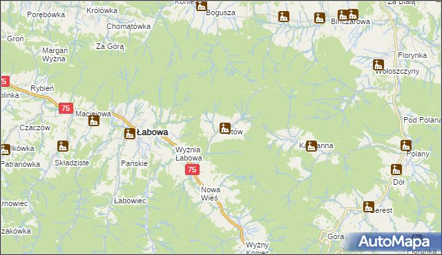 mapa Kotów gmina Łabowa, Kotów gmina Łabowa na mapie Targeo