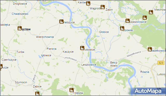 mapa Kotowice gmina Pęcław, Kotowice gmina Pęcław na mapie Targeo