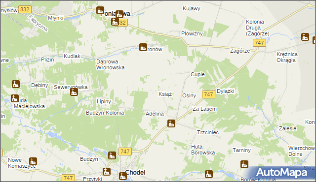 mapa Książ gmina Chodel, Książ gmina Chodel na mapie Targeo