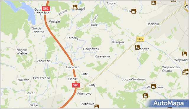 mapa Kurejewka, Kurejewka na mapie Targeo