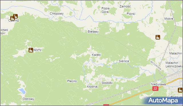 mapa Kwieki, Kwieki na mapie Targeo