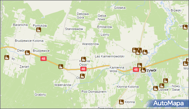 mapa Las Kamiennowolski, Las Kamiennowolski na mapie Targeo