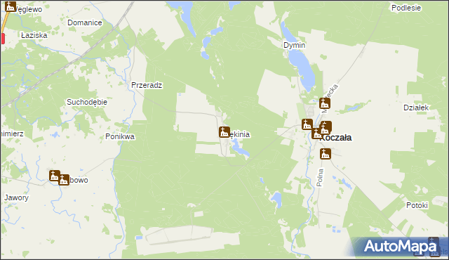 mapa Łękinia, Łękinia na mapie Targeo