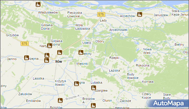 mapa Leśniaki gmina Iłów, Leśniaki gmina Iłów na mapie Targeo