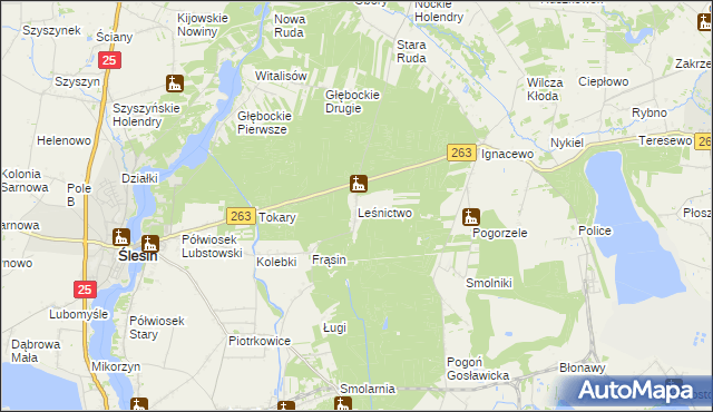 mapa Leśnictwo gmina Ślesin, Leśnictwo gmina Ślesin na mapie Targeo