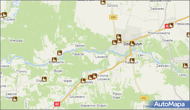 mapa Lisowice gmina Działoszyn, Lisowice gmina Działoszyn na mapie Targeo