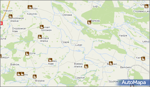 mapa Lubiel, Lubiel na mapie Targeo