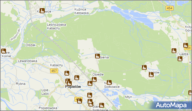 mapa Lubienia gmina Popielów, Lubienia gmina Popielów na mapie Targeo