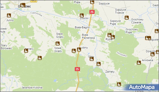 mapa Lubiny gmina Rychwał, Lubiny gmina Rychwał na mapie Targeo