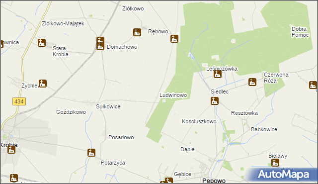 mapa Ludwinowo gmina Pępowo, Ludwinowo gmina Pępowo na mapie Targeo