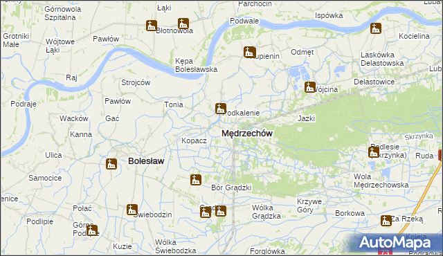 mapa Mędrzechów, Mędrzechów na mapie Targeo