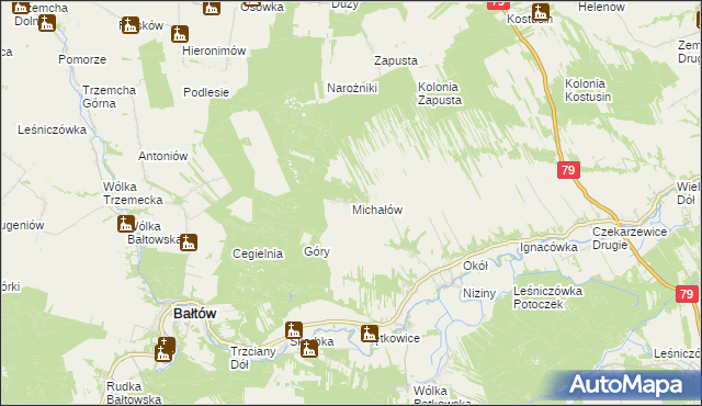 mapa Michałów gmina Bałtów, Michałów gmina Bałtów na mapie Targeo