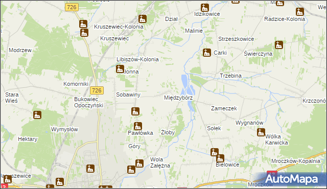 mapa Międzybórz gmina Opoczno, Międzybórz gmina Opoczno na mapie Targeo