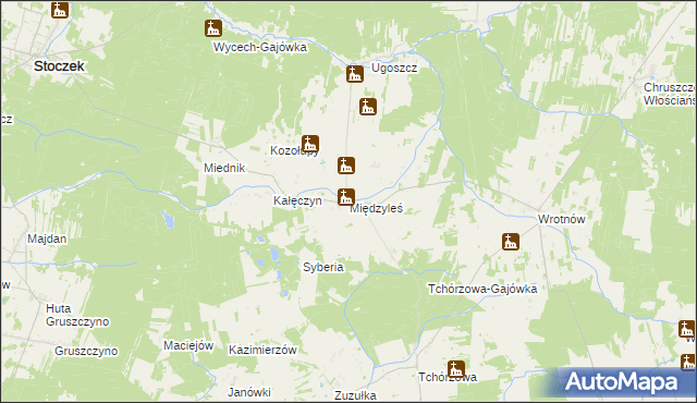 mapa Międzyleś gmina Miedzna, Międzyleś gmina Miedzna na mapie Targeo