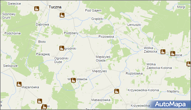 mapa Międzyleś Osada, Międzyleś Osada na mapie Targeo