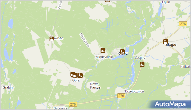 mapa Międzylesie gmina Skąpe, Międzylesie gmina Skąpe na mapie Targeo