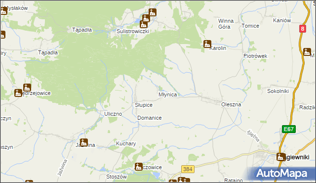 mapa Młynica, Młynica na mapie Targeo