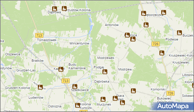 mapa Modrzewek gmina Opoczno, Modrzewek gmina Opoczno na mapie Targeo