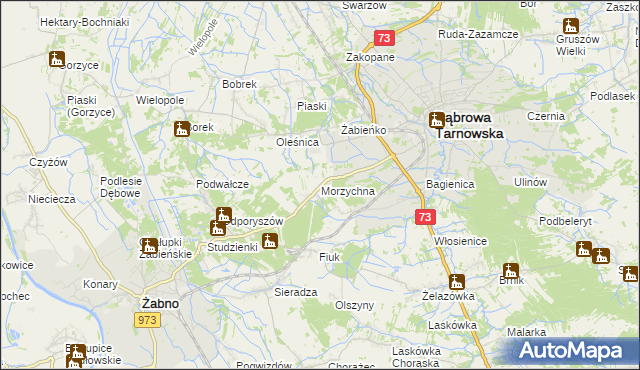 mapa Morzychna, Morzychna na mapie Targeo