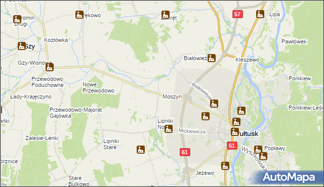 mapa Moszyn, Moszyn na mapie Targeo