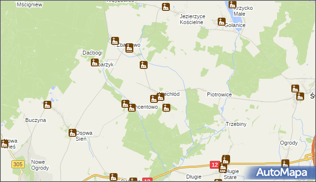 mapa Niechłód, Niechłód na mapie Targeo