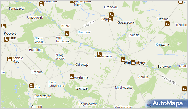 mapa Niedośpielin, Niedośpielin na mapie Targeo