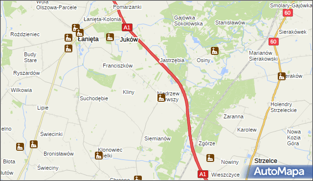 mapa Niedrzew Pierwszy, Niedrzew Pierwszy na mapie Targeo