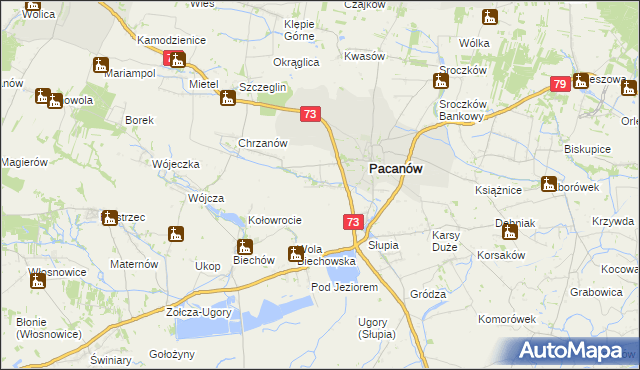 mapa Niegosławice gmina Pacanów, Niegosławice gmina Pacanów na mapie Targeo