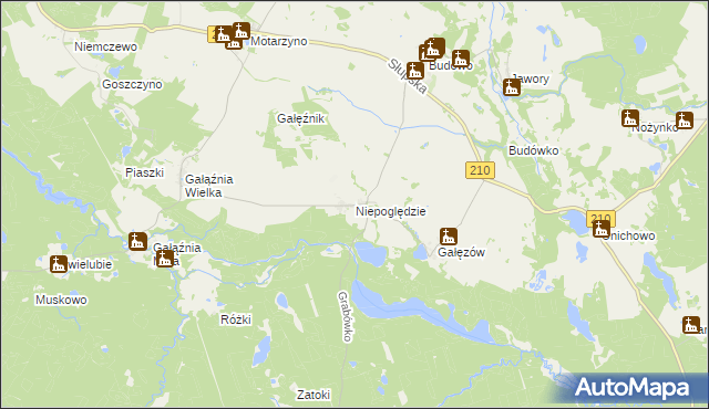 mapa Niepoględzie, Niepoględzie na mapie Targeo