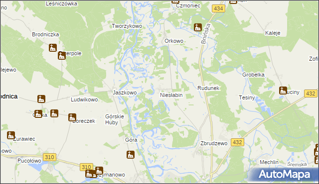 mapa Niesłabin, Niesłabin na mapie Targeo