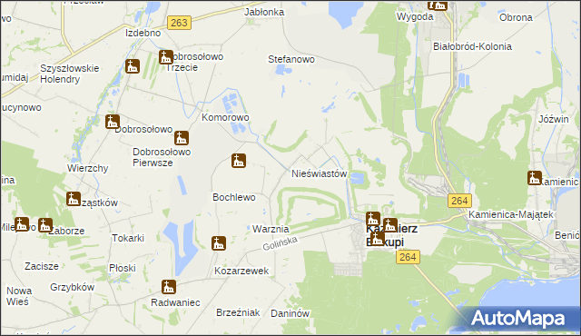 mapa Nieświastów, Nieświastów na mapie Targeo