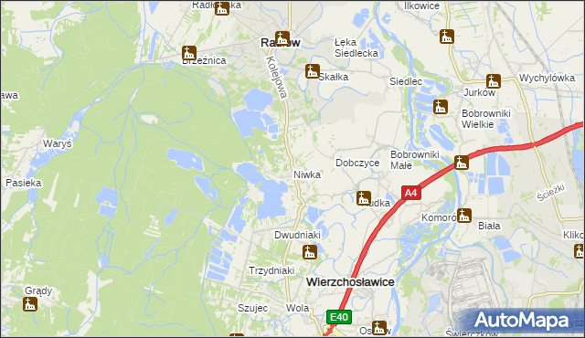 mapa Niwka gmina Radłów, Niwka gmina Radłów na mapie Targeo