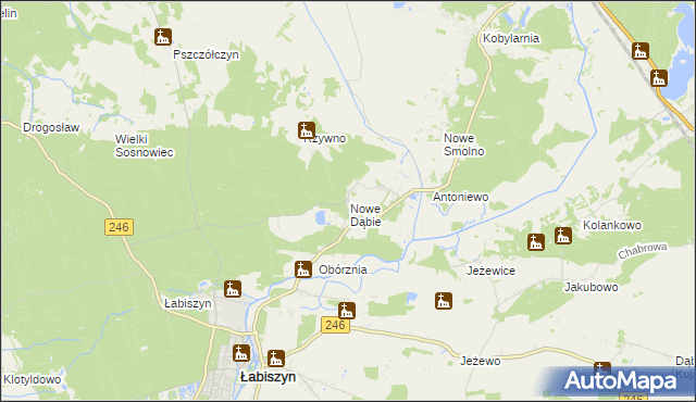 mapa Nowe Dąbie, Nowe Dąbie na mapie Targeo