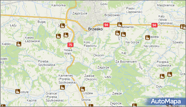 mapa Okocim, Okocim na mapie Targeo