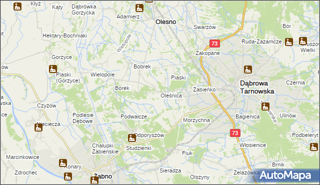 mapa Oleśnica gmina Olesno, Oleśnica gmina Olesno na mapie Targeo