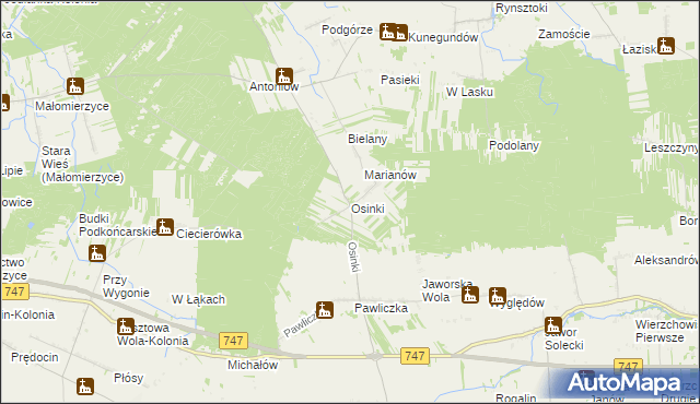 mapa Osinki gmina Rzeczniów, Osinki gmina Rzeczniów na mapie Targeo