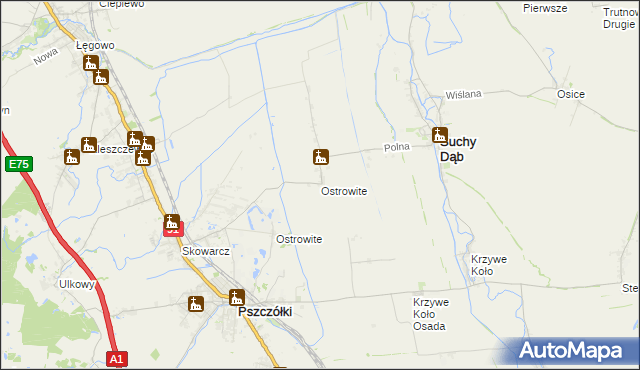 mapa Ostrowite gmina Suchy Dąb, Ostrowite gmina Suchy Dąb na mapie Targeo