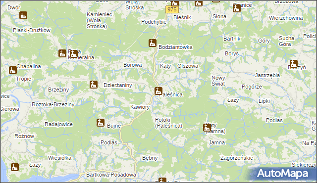 mapa Paleśnica, Paleśnica na mapie Targeo