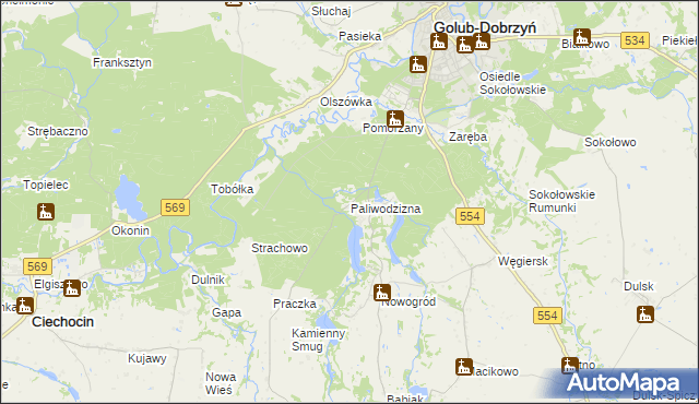 mapa Paliwodzizna, Paliwodzizna na mapie Targeo