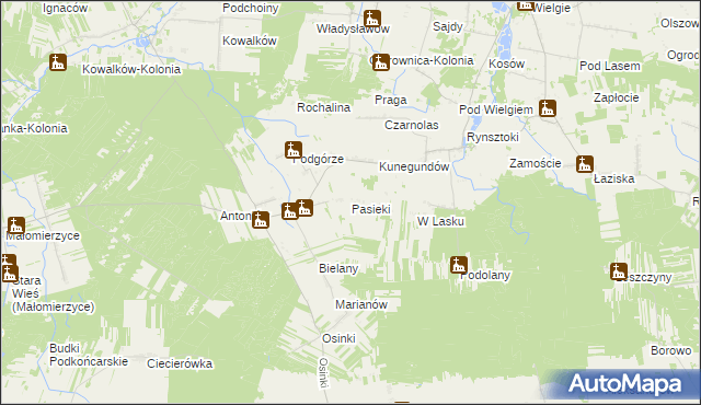 mapa Pasieki gmina Ciepielów, Pasieki gmina Ciepielów na mapie Targeo