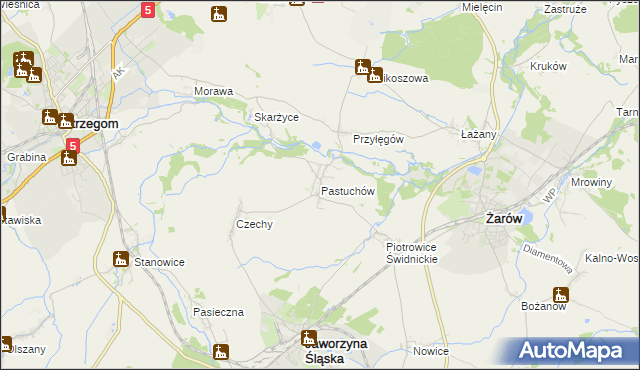 mapa Pastuchów, Pastuchów na mapie Targeo